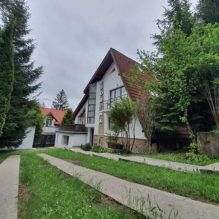 Vila Sorina Пояна-Брашов Экстерьер фото
