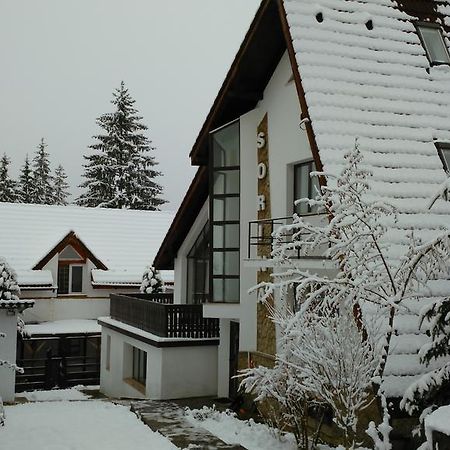 Vila Sorina Пояна-Брашов Экстерьер фото