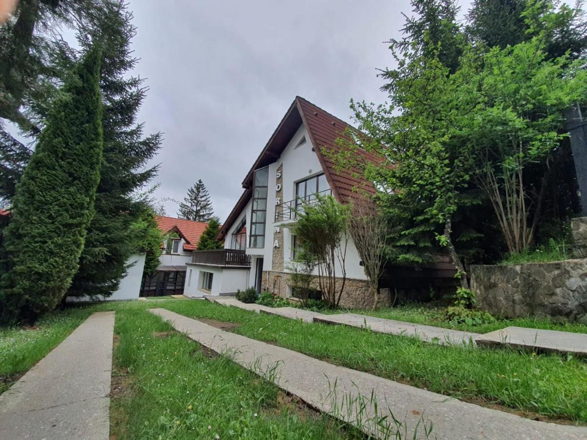 Vila Sorina Пояна-Брашов Экстерьер фото