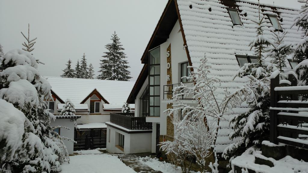 Vila Sorina Пояна-Брашов Экстерьер фото